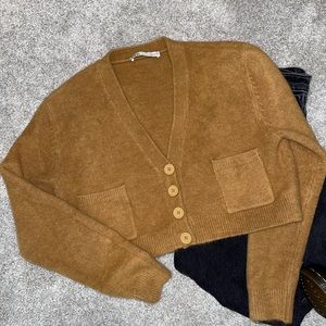 Zara Cropped Beige Sweater